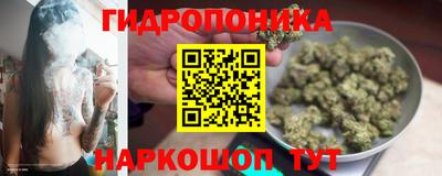 ГАЛЛЮЦИНОГЕННЫЕ ГРИБЫ Малгобек