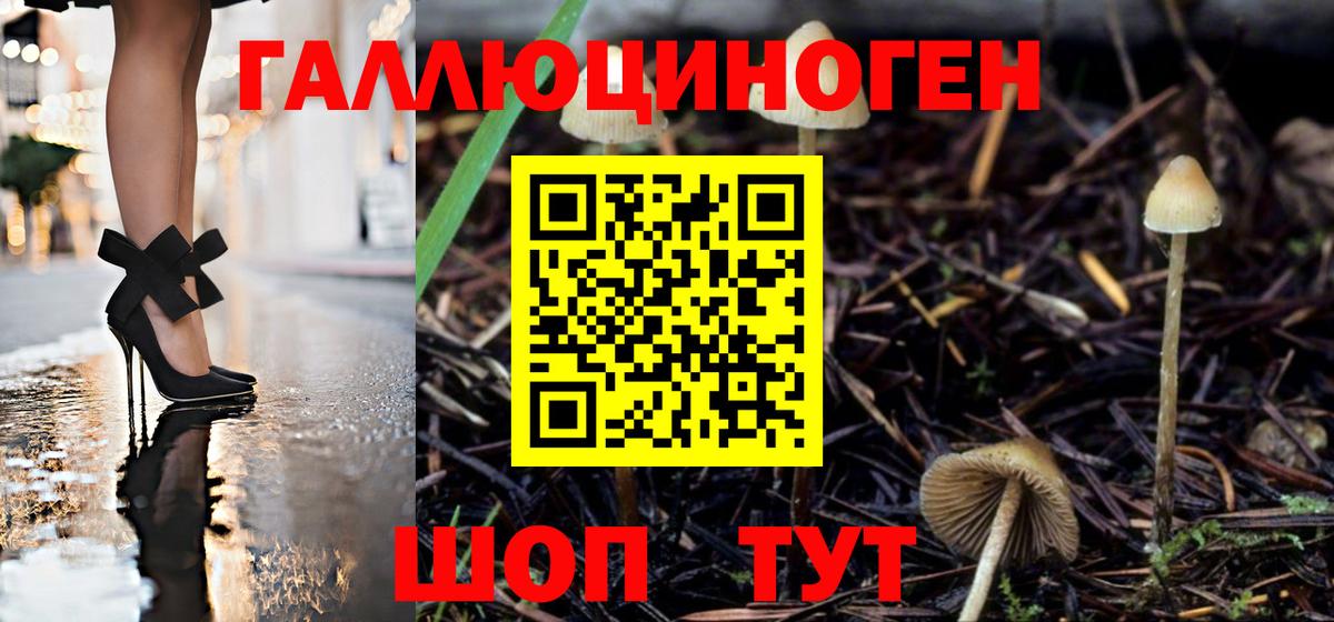 Псилоцибиновые грибы GOLDEN TEACHER  Вход с VPN  Ливны 